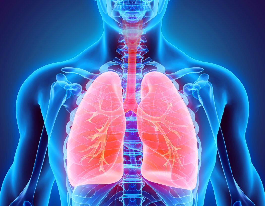 Какие бывают заболевания дыхательных путей и как их можно лечить?